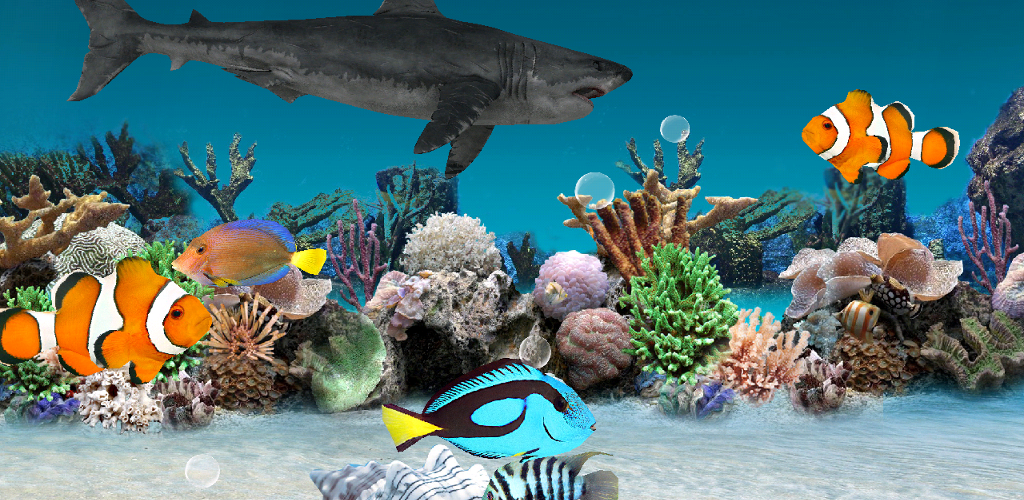 effet 3d live wallpaper,poisson,biologie marine,poisson,sous marin,poissons de récifs coralliens