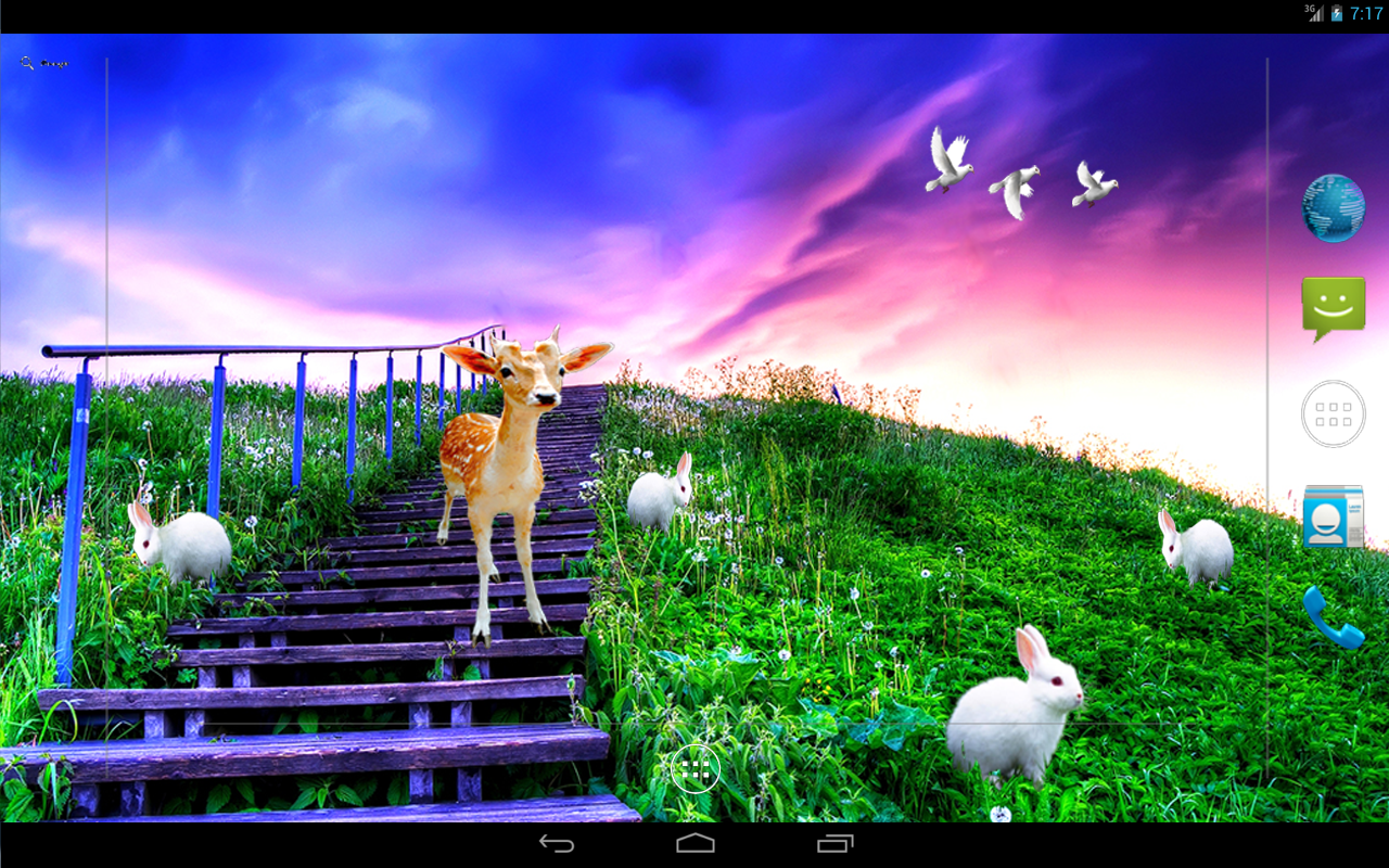 삼성 갤럭시 s5 라이브 배경 화면,자연,잔디,양,목초지,하늘