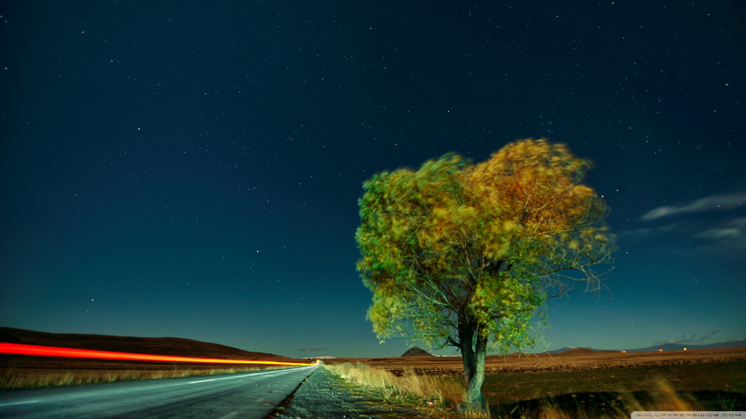 samsung galaxy s5 live wallpaper,himmel,natur,natürliche landschaft,baum,nacht