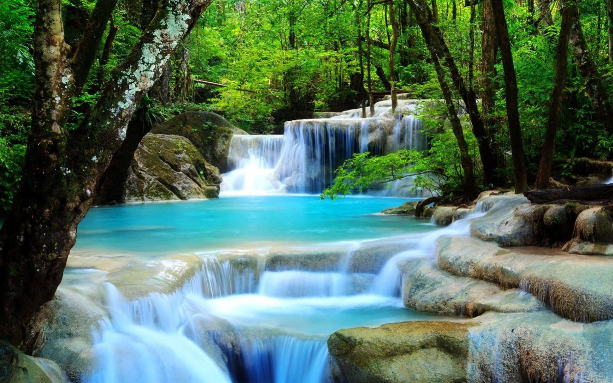 3d滝ライブ壁紙,滝,水域,水資源,自然の風景,自然
