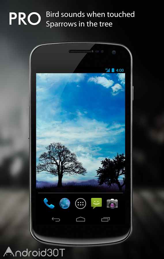 دانلود Blue Sky Pro Live Wallpaper Tree WallpaperUse