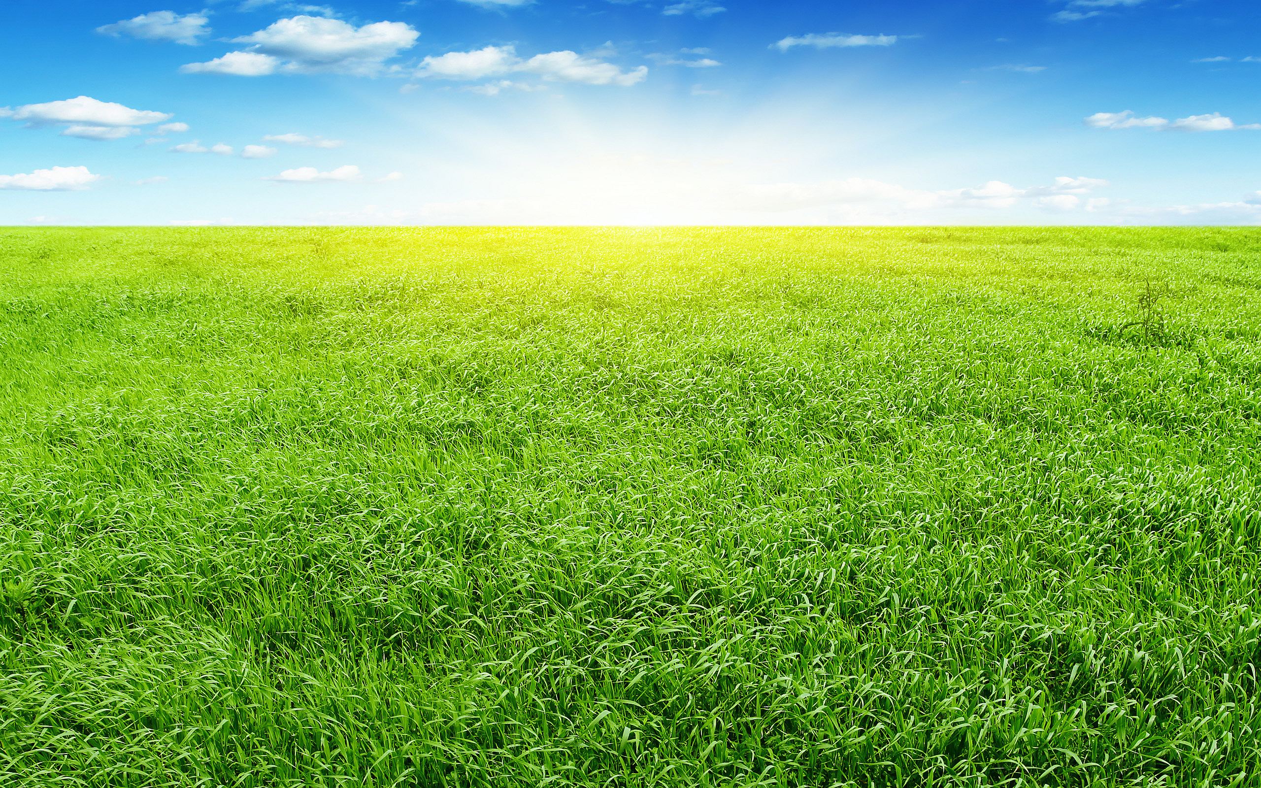 blue sky live wallpaper,grassland,natural landscape,people in nature,green,nature