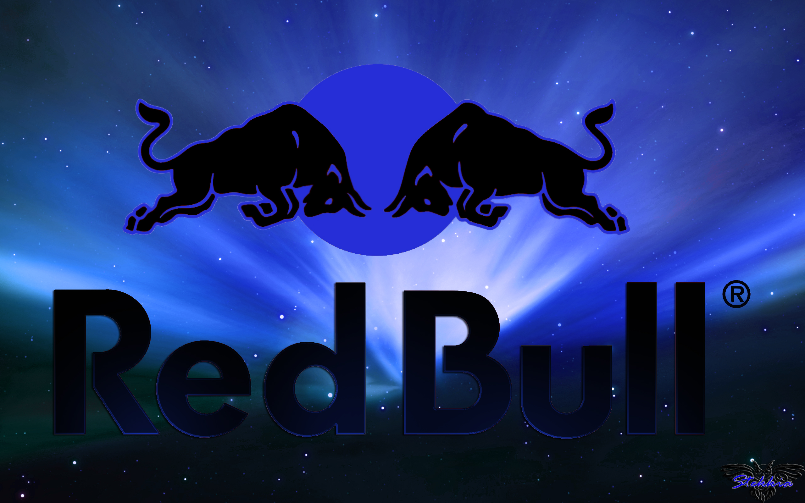 red bull wallpaper hd,sky,font,felidae,logo,night