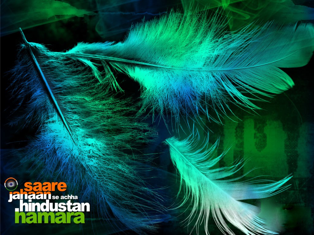 whatsapp wallpaper free,feather,fractal art,organism,fashion accessory,graphics