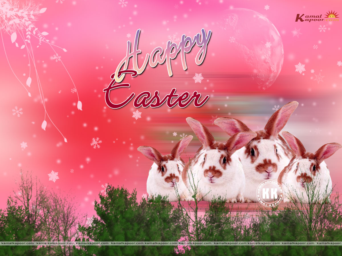 free live easter wallpaper,pink,text,sky,font,morning