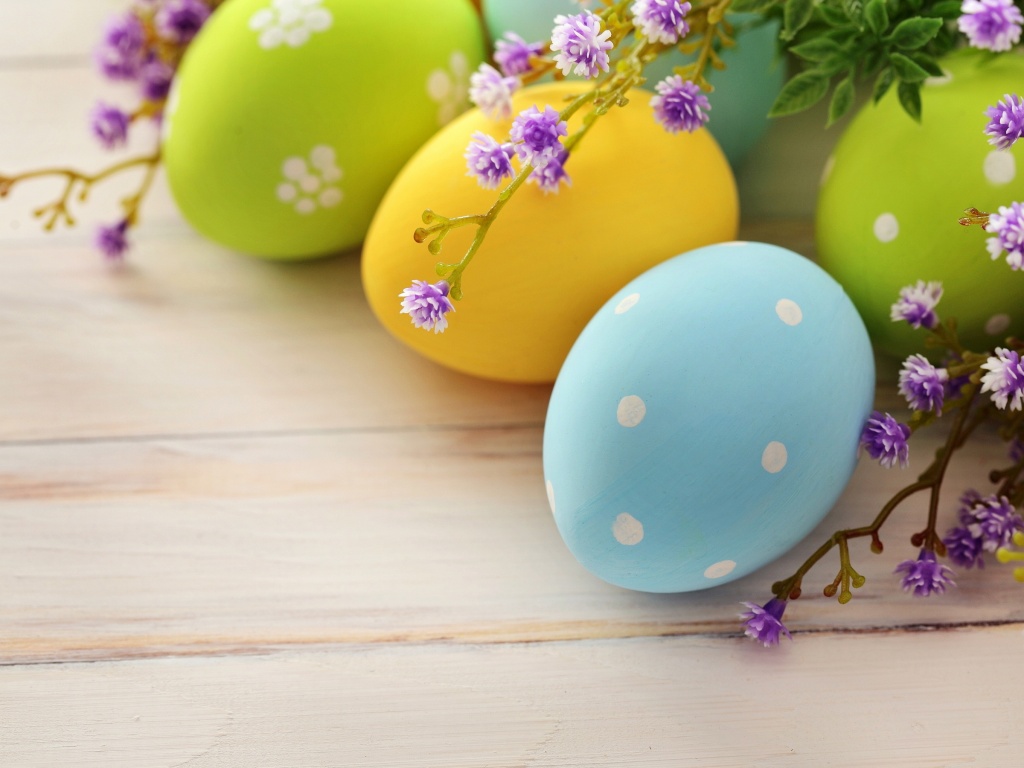 fond d'écran gratuit de pâques en direct,œuf de pâques,pâques,violet,oeuf,oeuf