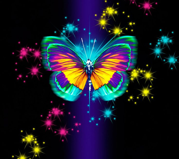 free live easter wallpaper,butterfly,insect,moths and butterflies,purple,neon