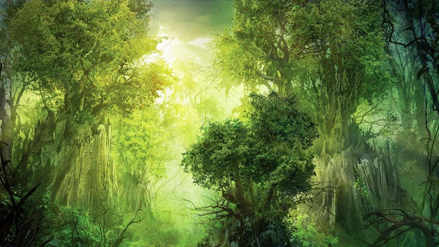 정글 라이브 배경 화면,자연 경관,자연,초록,숲,밀림