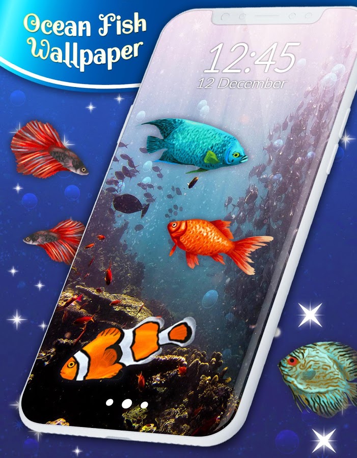 ozean hd live wallpaper,feederfisch,fisch,meeresbiologie,goldfisch,fisch