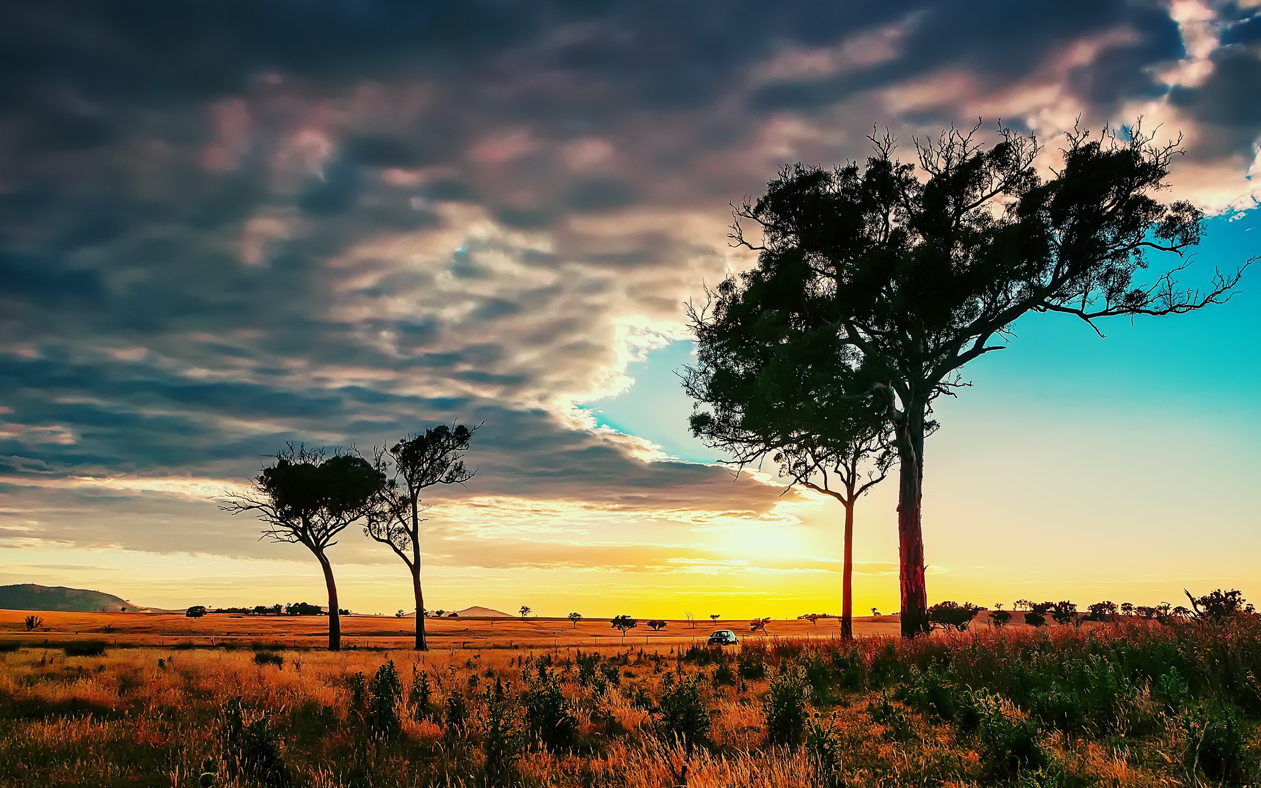 fond d'écran afrika,ciel,paysage naturel,la nature,arbre,savane