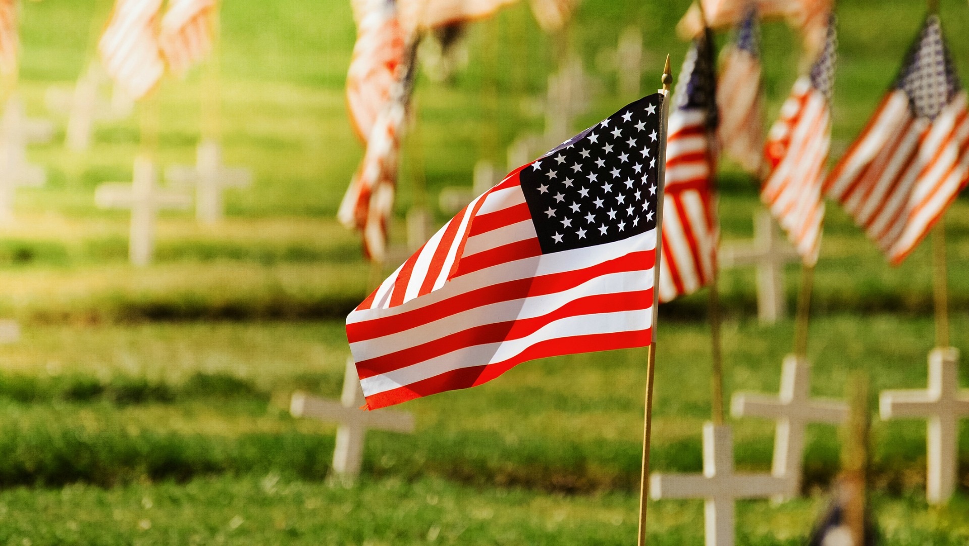 memorial day wallpaper,flag of the united states,flag,flag day (usa),memorial day,grass