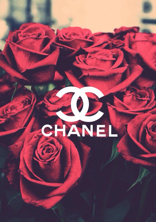 chanel wallpaper tumblr,garden roses,rose,red,flower,rose family