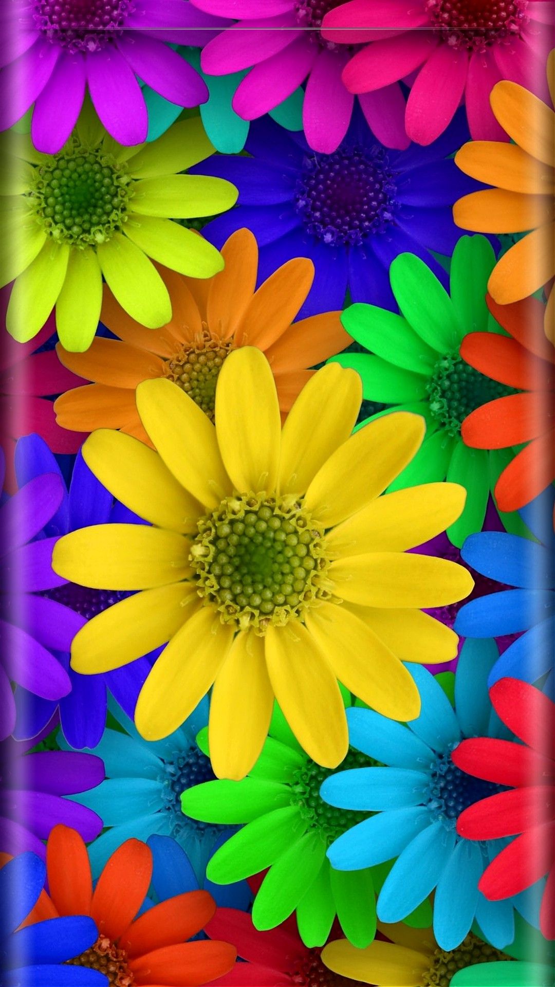 nice wallpaper for android,flower,petal,yellow,plant,purple