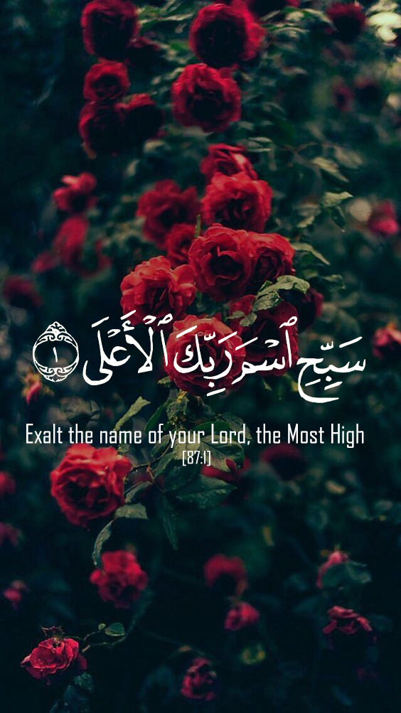 allah live wallpaper hd,flower,red,text,font,plant
