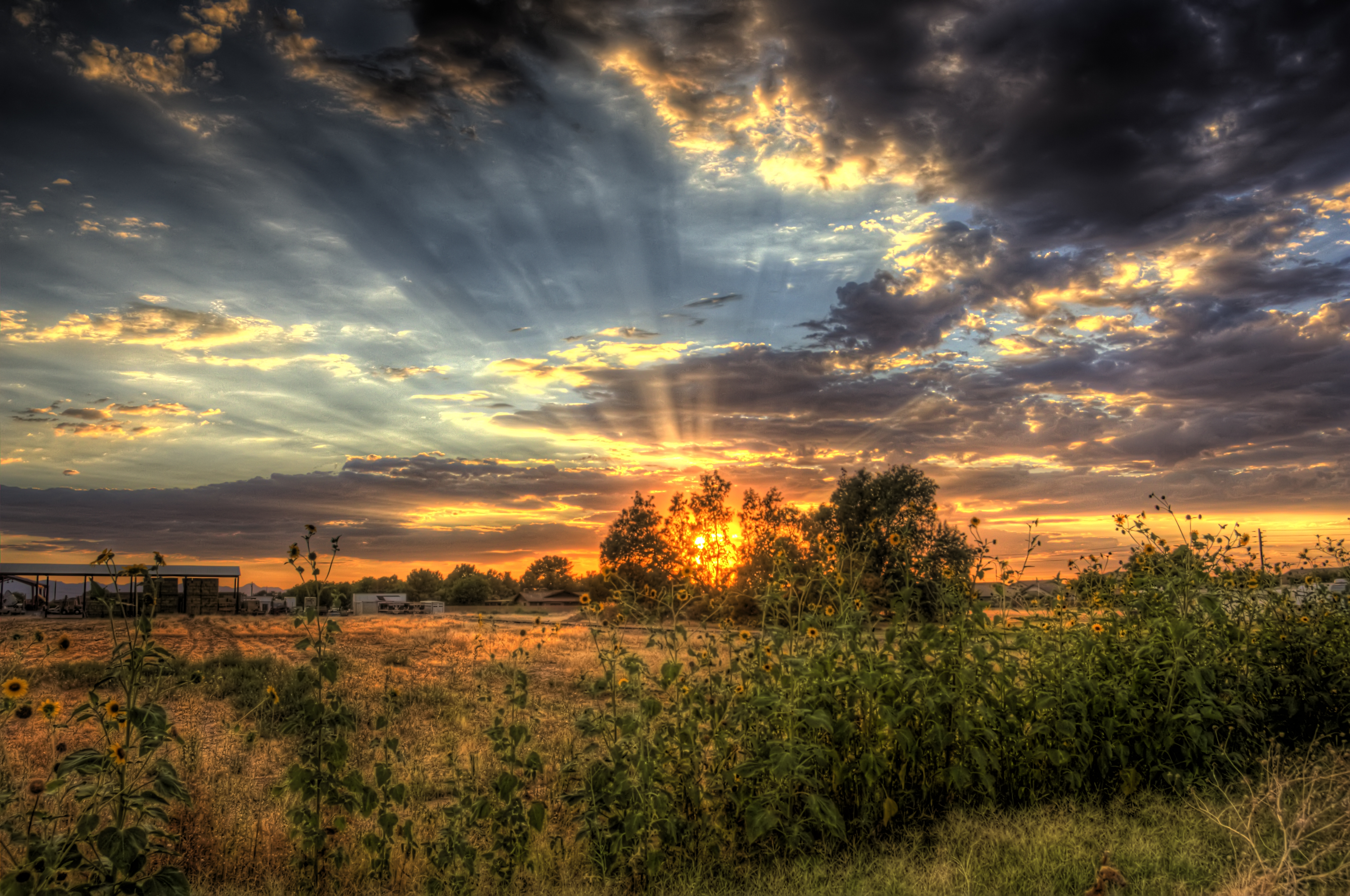 beste tapeten qhd,himmel,natur,wolke,natürliche landschaft,sonnenaufgang