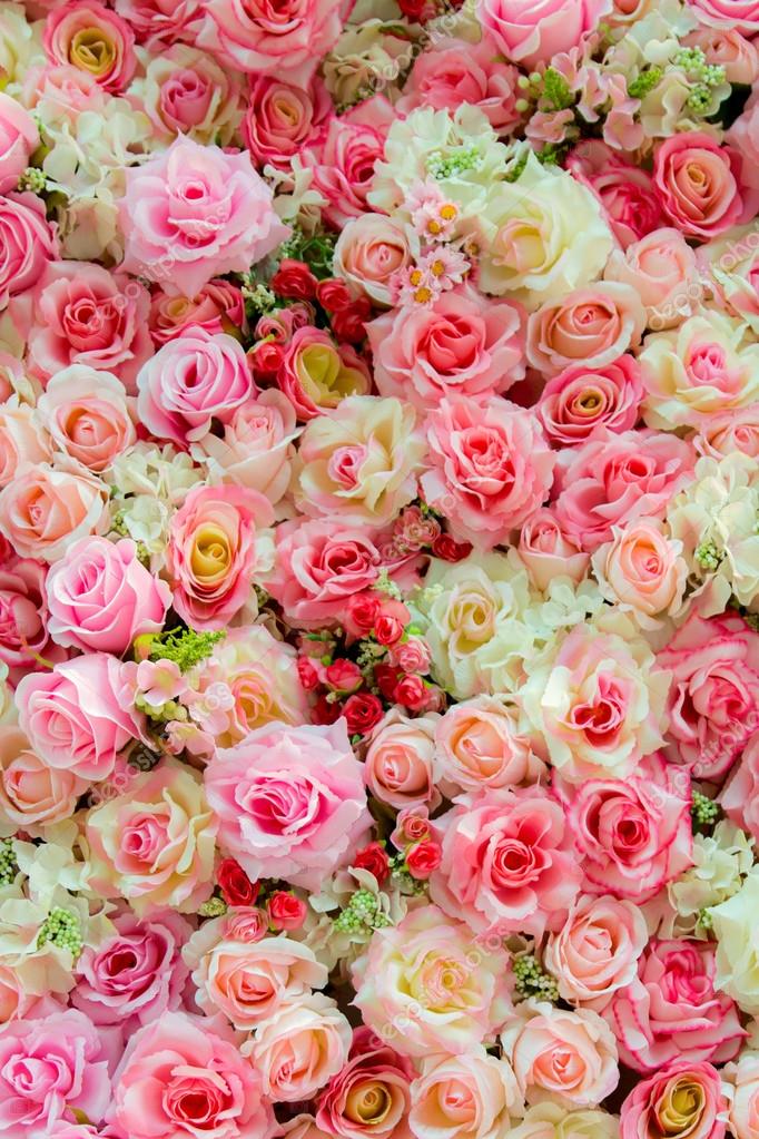 ogq wallpaper,flower,garden roses,rose,pink,cut flowers