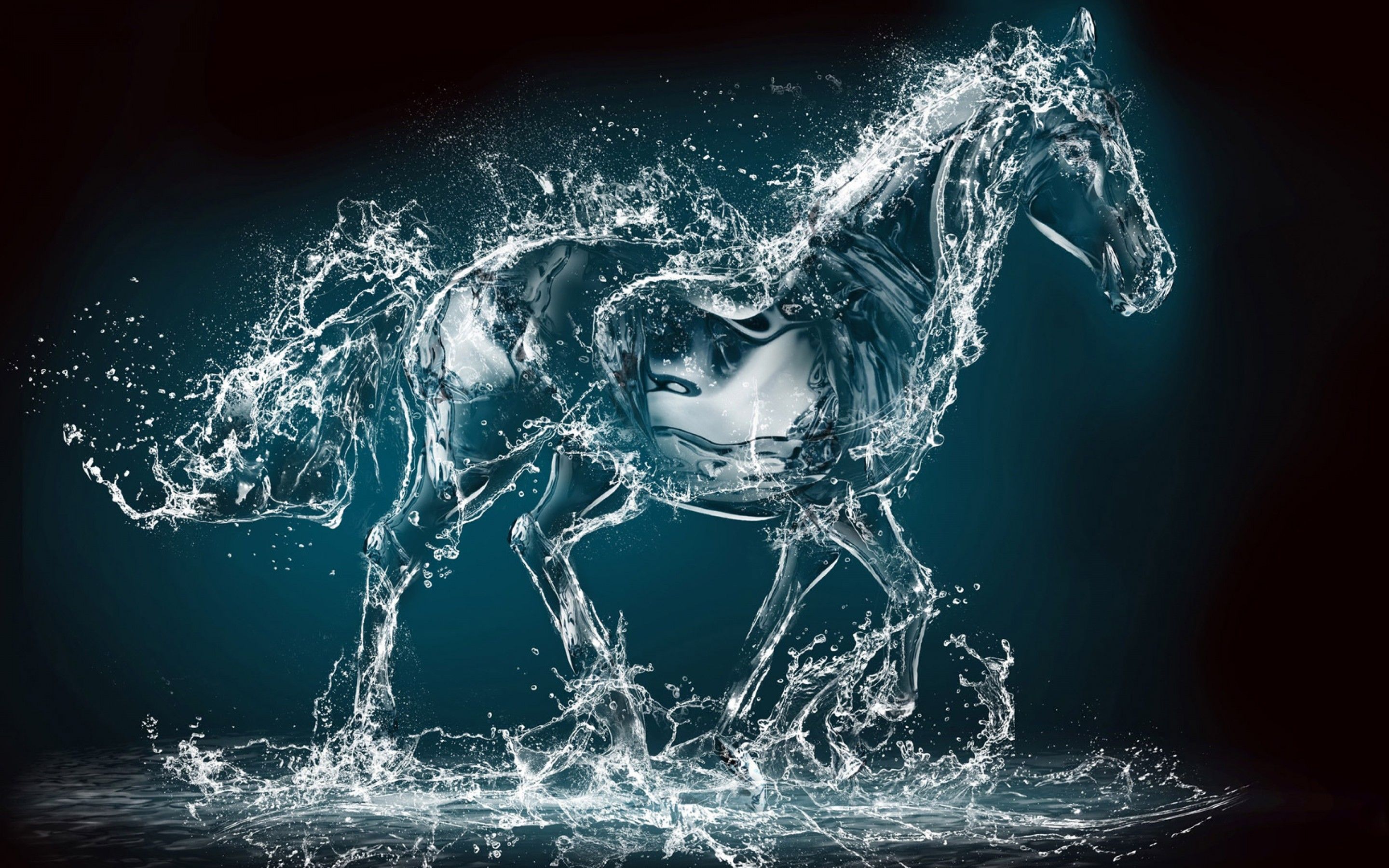 latest hd wallpapers for desktop,horse,water,organism,graphic design,stallion