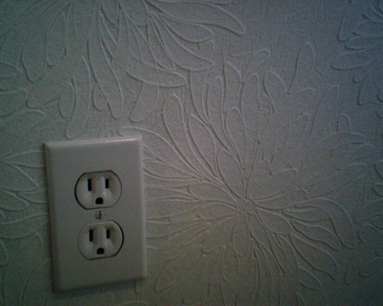 wallpaper on bottom half of wall,power plugs and sockets,wall,games,technology,electronic device