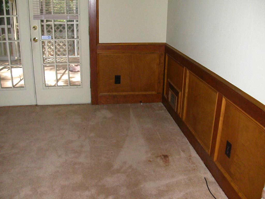 wallpaper on bottom half of wall,floor,property,room,flooring,wood stain