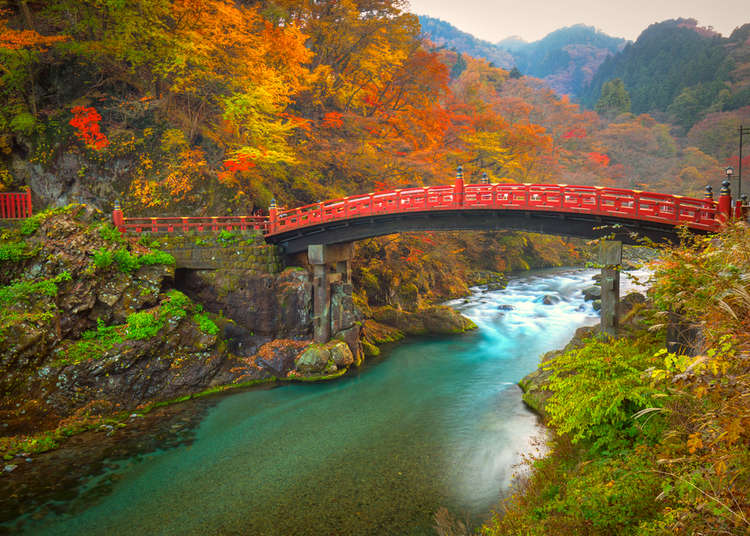 must wallpaper,nature,natural landscape,arch bridge,bridge,leaf