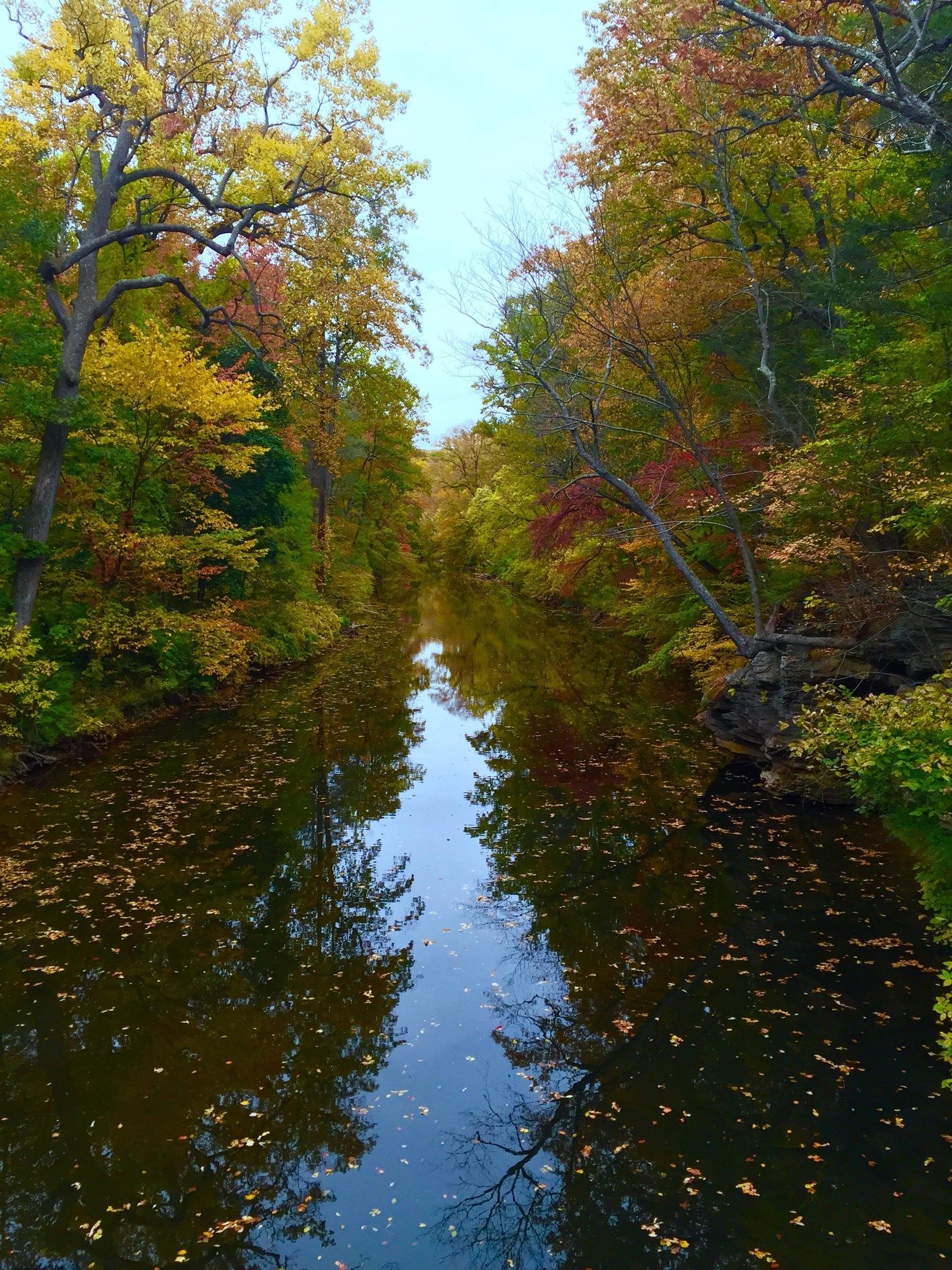 outside wallpaper,body of water,natural landscape,nature,tree,reflection