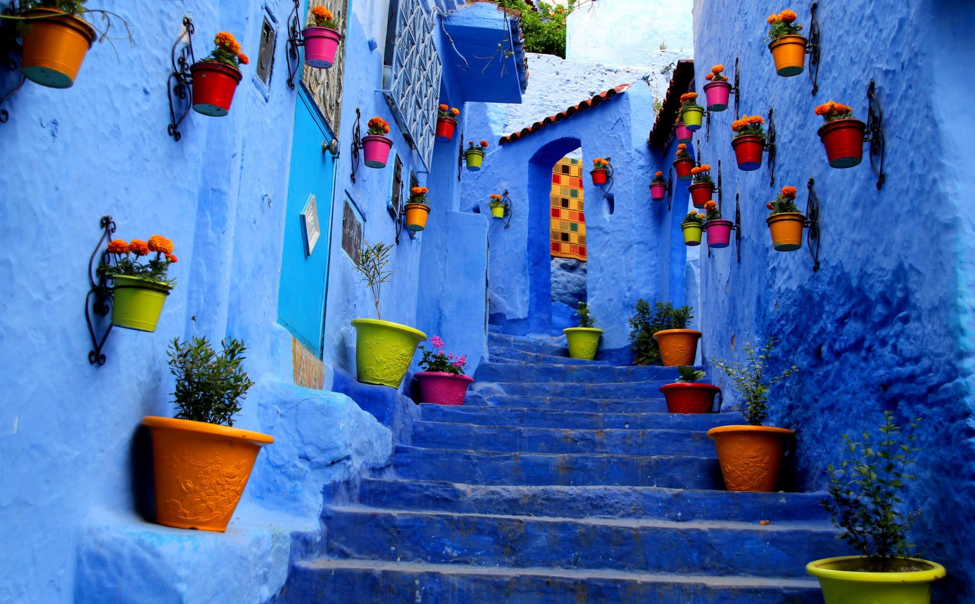 壁紙絵画壁,青い,マジョレルブルー,壁,水,植木鉢