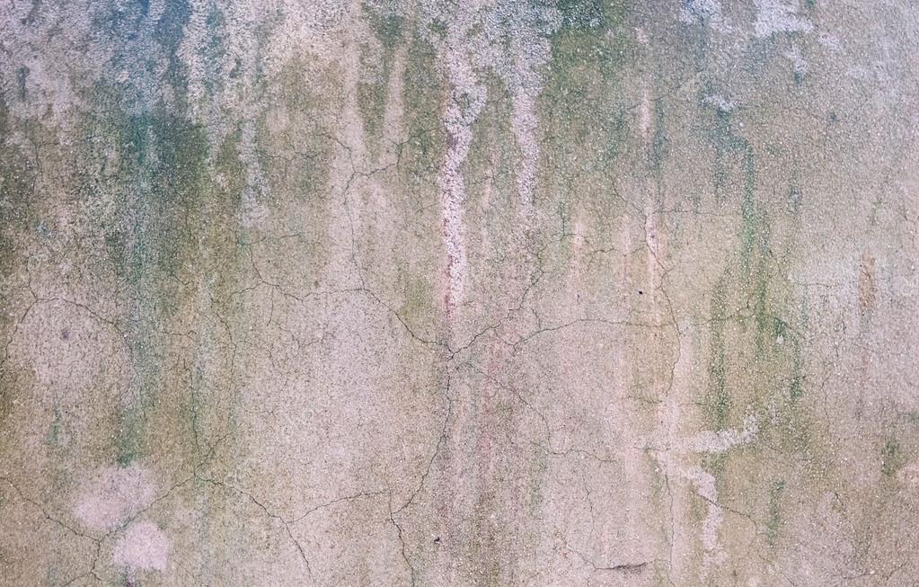 vecchia carta da parati a muro,verde,parete,calcestruzzo,beige,cemento