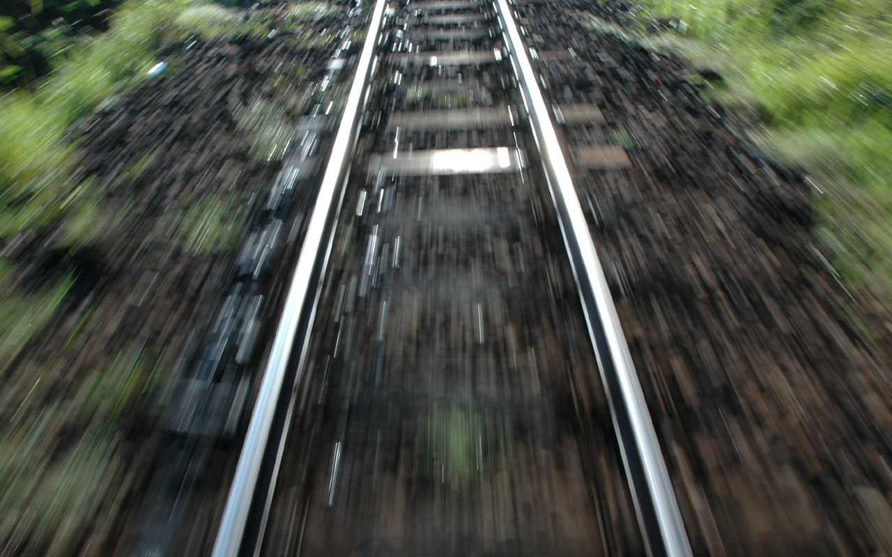 fond d'écran em movimento,rue,piste,route,arbre,forêt