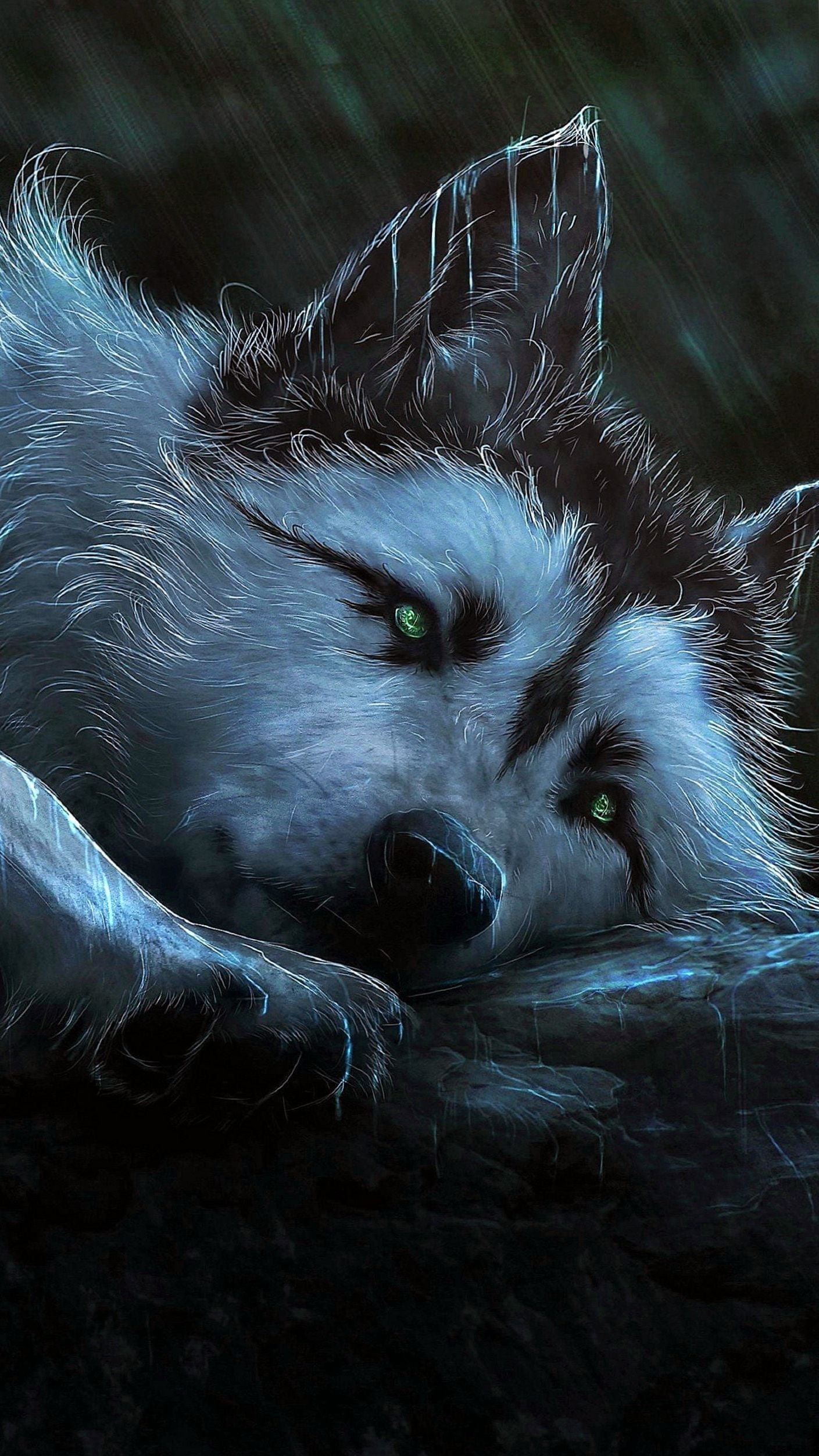 wallpapers s6 edge,canidae,wolf,darkness,wildlife,fictional character