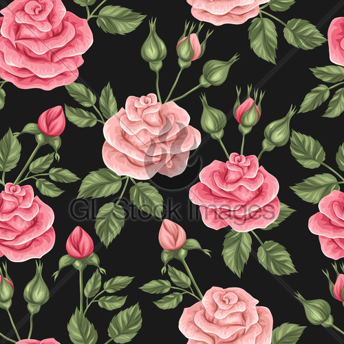 壁紙透明,庭のバラ,ピンク,ローズ,花,パターン