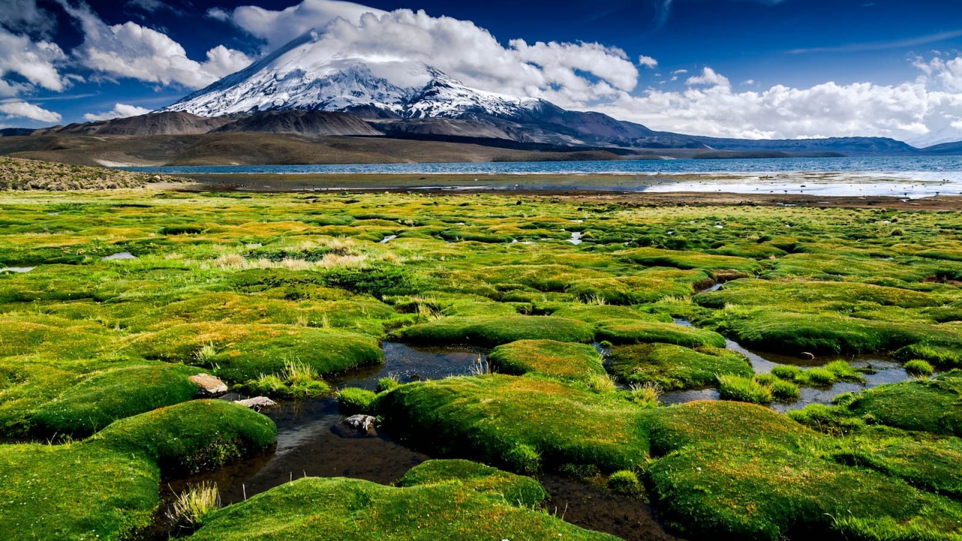 チリの壁紙,自然の風景,自然,草原,山