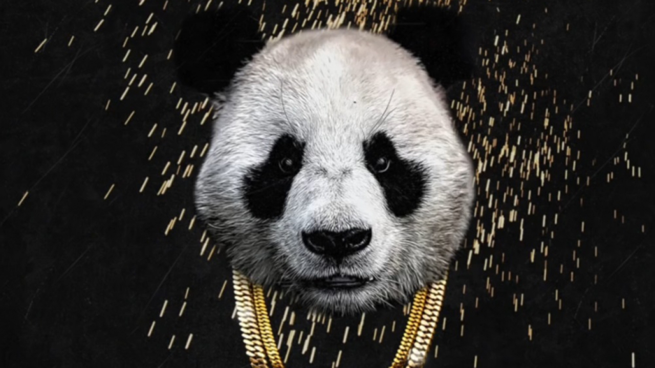 papel pintado panda desiigner,hocico,cabeza,animal terrestre,piel,panda