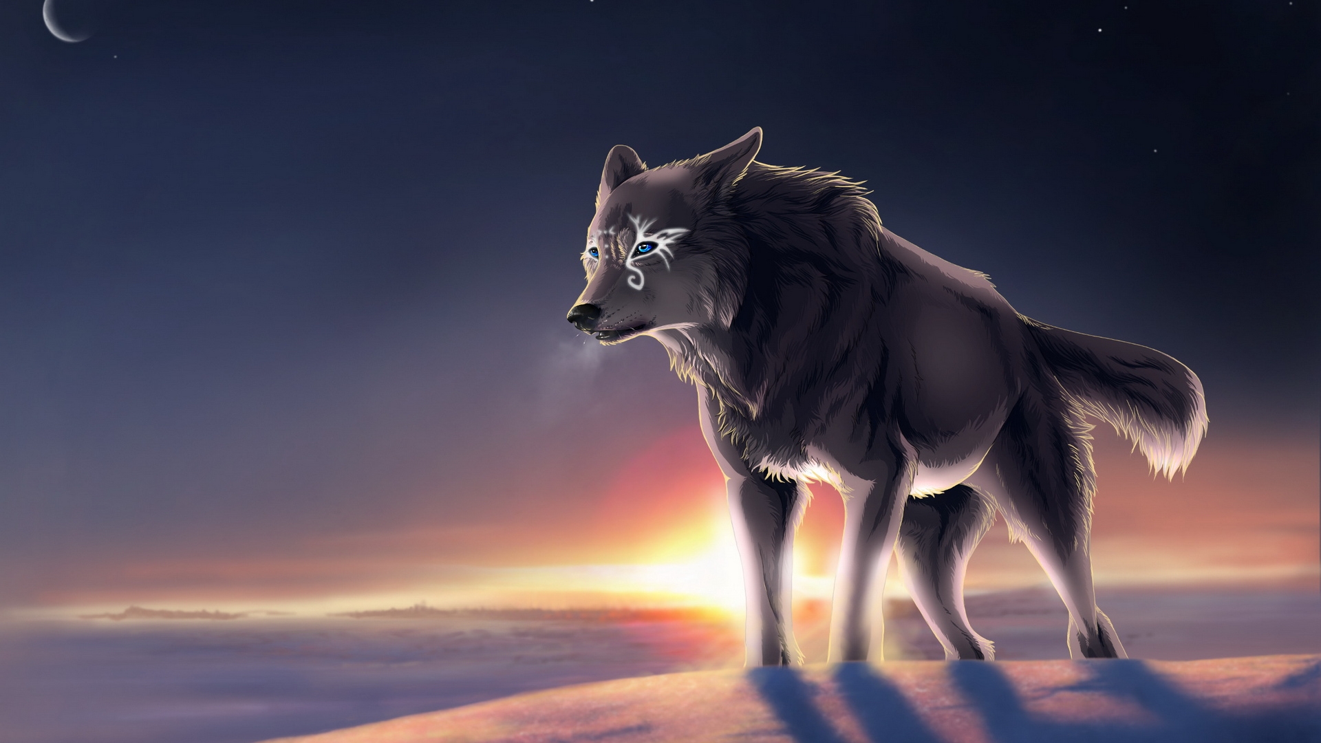 tapete lobo hd,wolf,canis lupus tundrarum,tierwelt,kojote,wolfshund