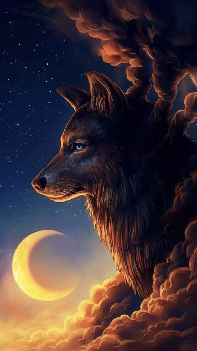 wallpaper lobo hd,sky,canidae,wolf,astronomical object,moon