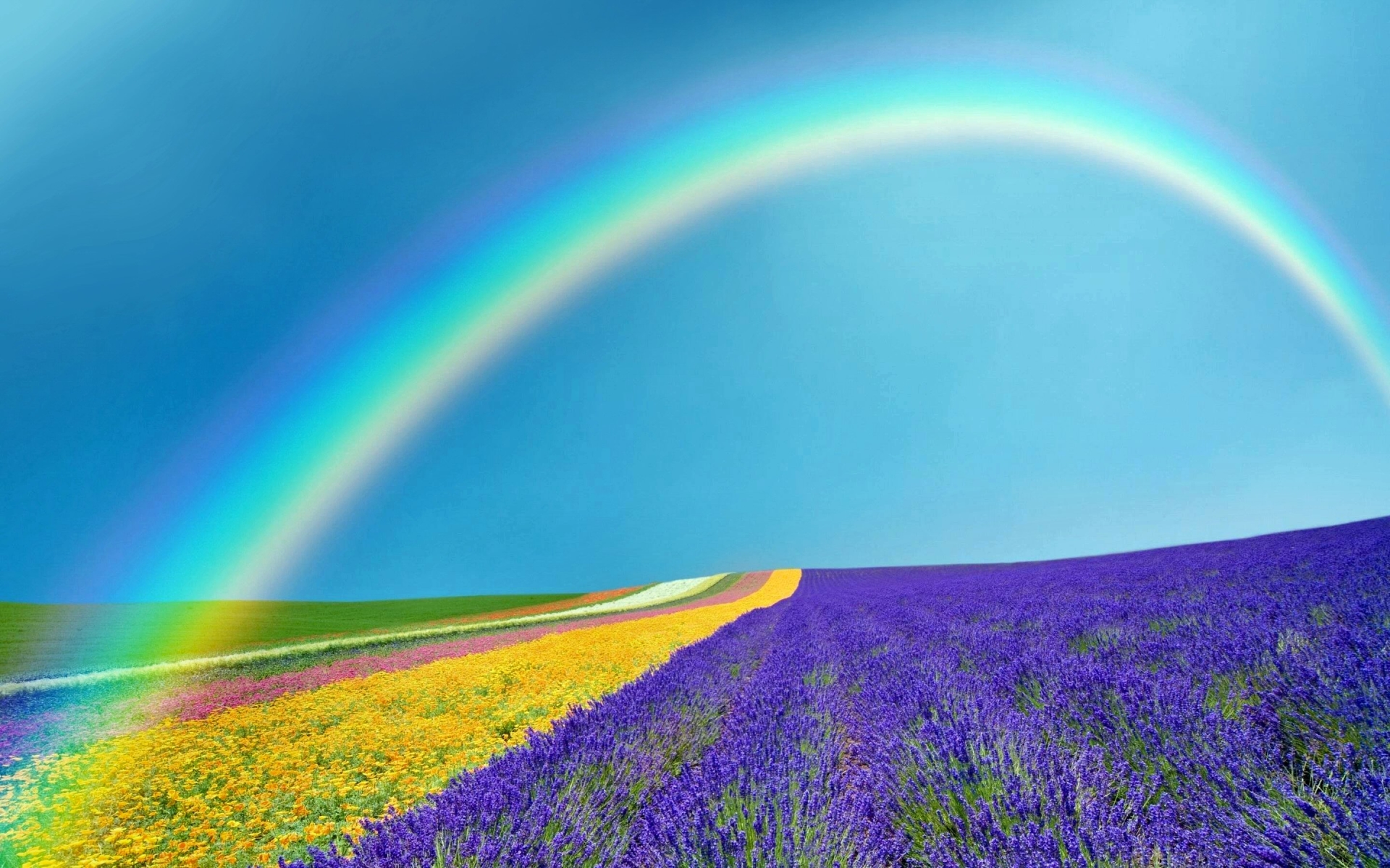 fondo de pantalla primavera,arco iris,paisaje natural,naturaleza,lavanda,cielo