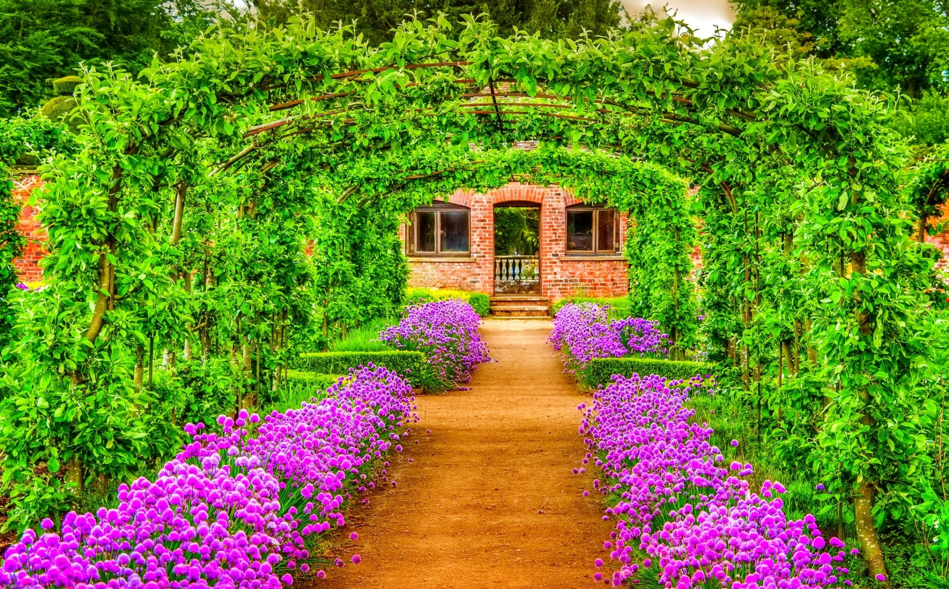 wallpaper primavera,nature,flower,garden,plant,botanical garden