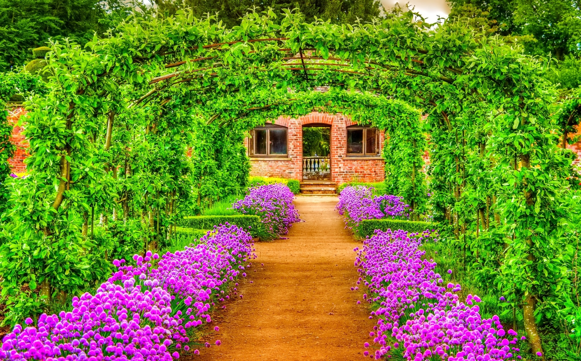 壁紙プリマベーラ,自然,花,庭園,工場,植物園