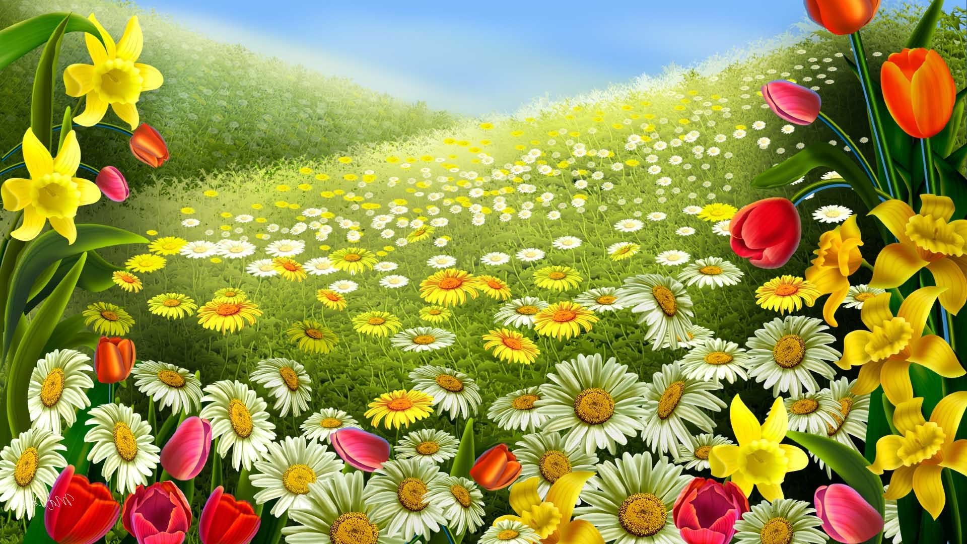 wallpaper primavera,natural landscape,flower,meadow,natural environment,spring