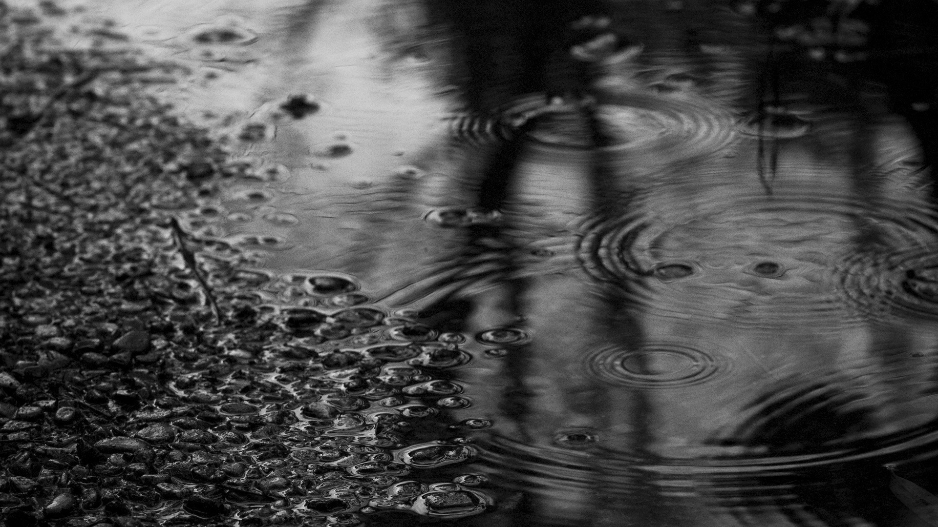 fond d'écran lluvia,l'eau,noir,noir et blanc,photographie monochrome,réflexion