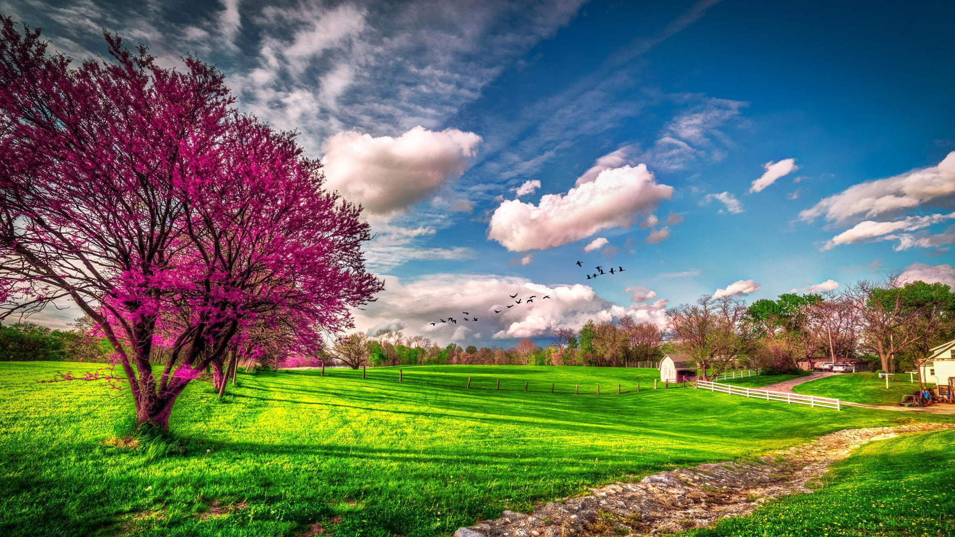 wallpaper primavera,sky,natural landscape,nature,cloud,green