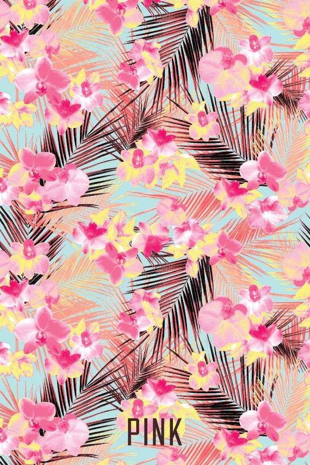 fondo de pantalla victoria secret,rosado,modelo,línea,diseño,flor