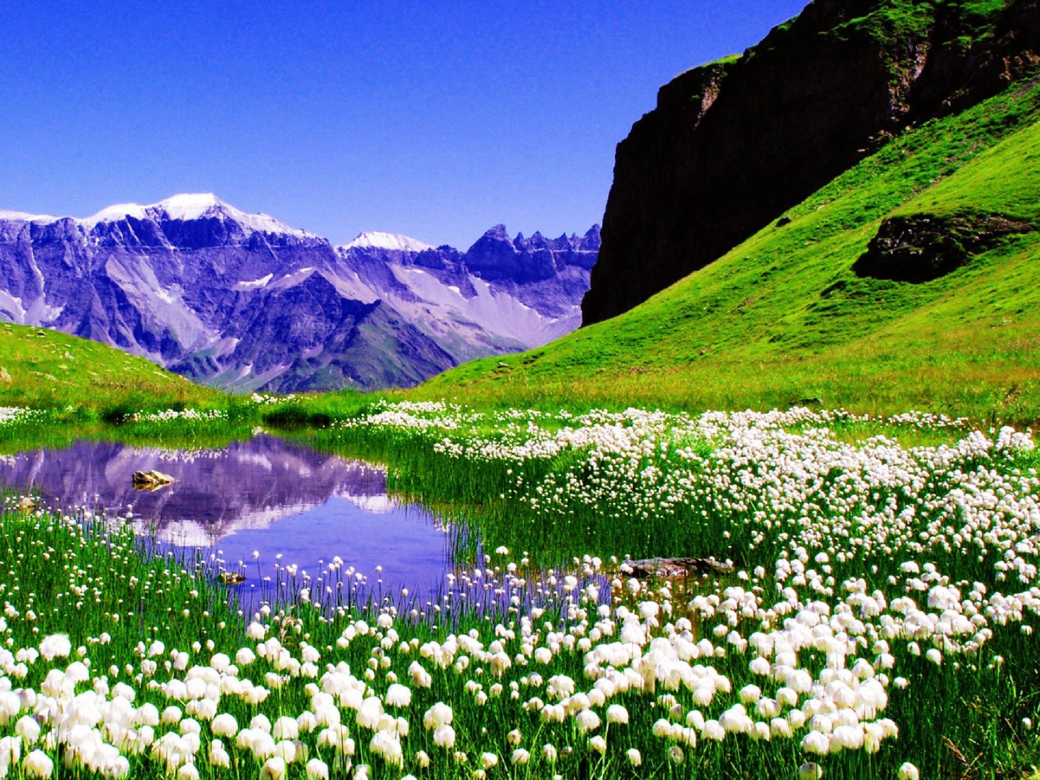 fond d'écran hd kostenlos,paysage naturel,la nature,montagne,réflexion,fleurs sauvages