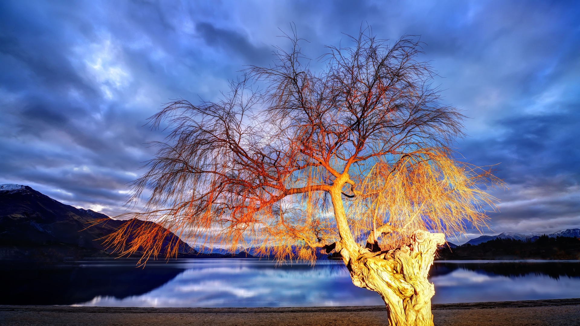 nuovo sfondo hd per desktop,cielo,paesaggio naturale,natura,albero,pianta legnosa