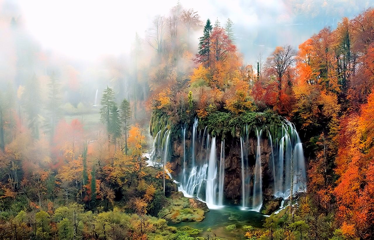 fondo de pantalla hd de alta definición,paisaje natural,naturaleza,cascada,árbol,parque estatal