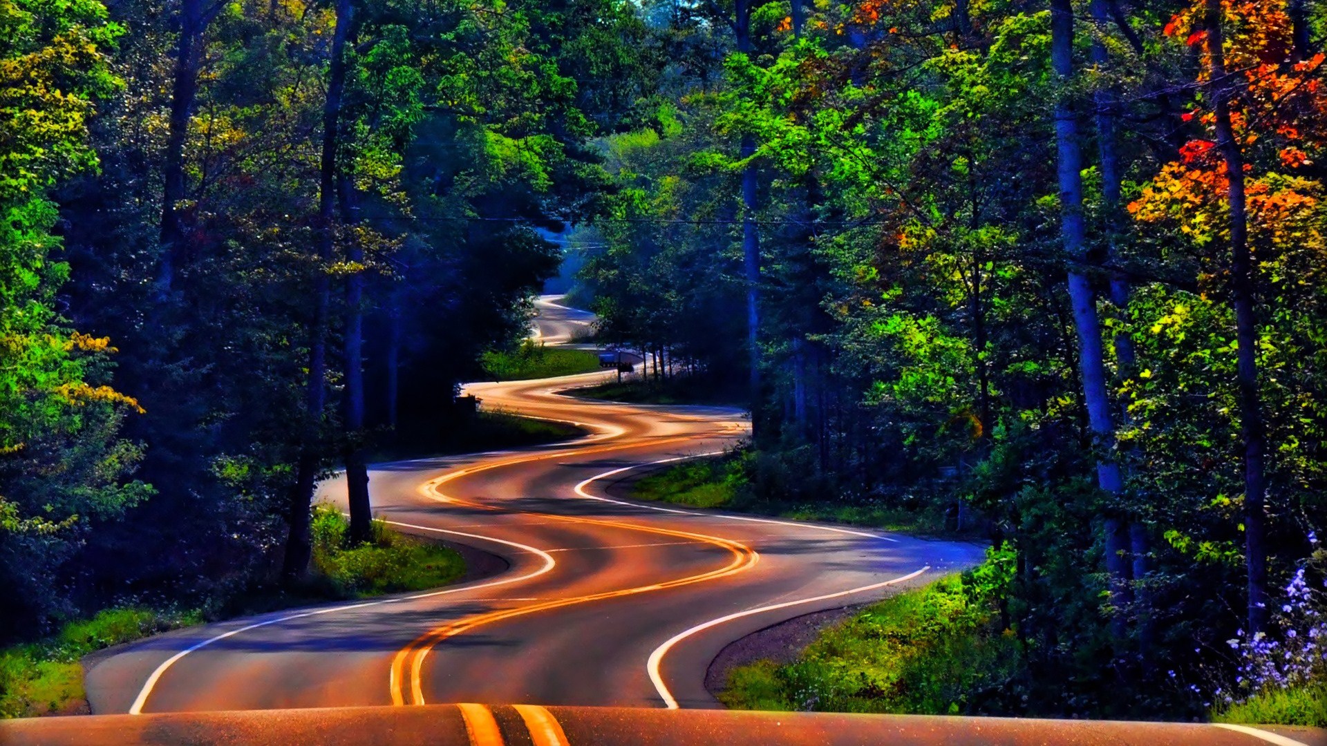 mejor fondo de pantalla hd,paisaje natural,naturaleza,la carretera,asfalto,árbol