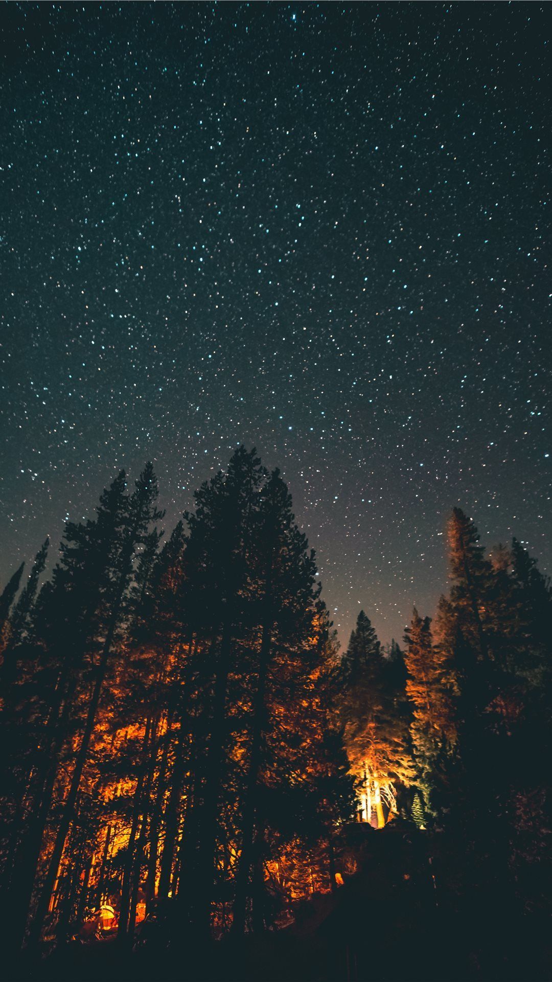 sfondi per la fotografia in hd 1080p,cielo,natura,notte,albero,atmosfera