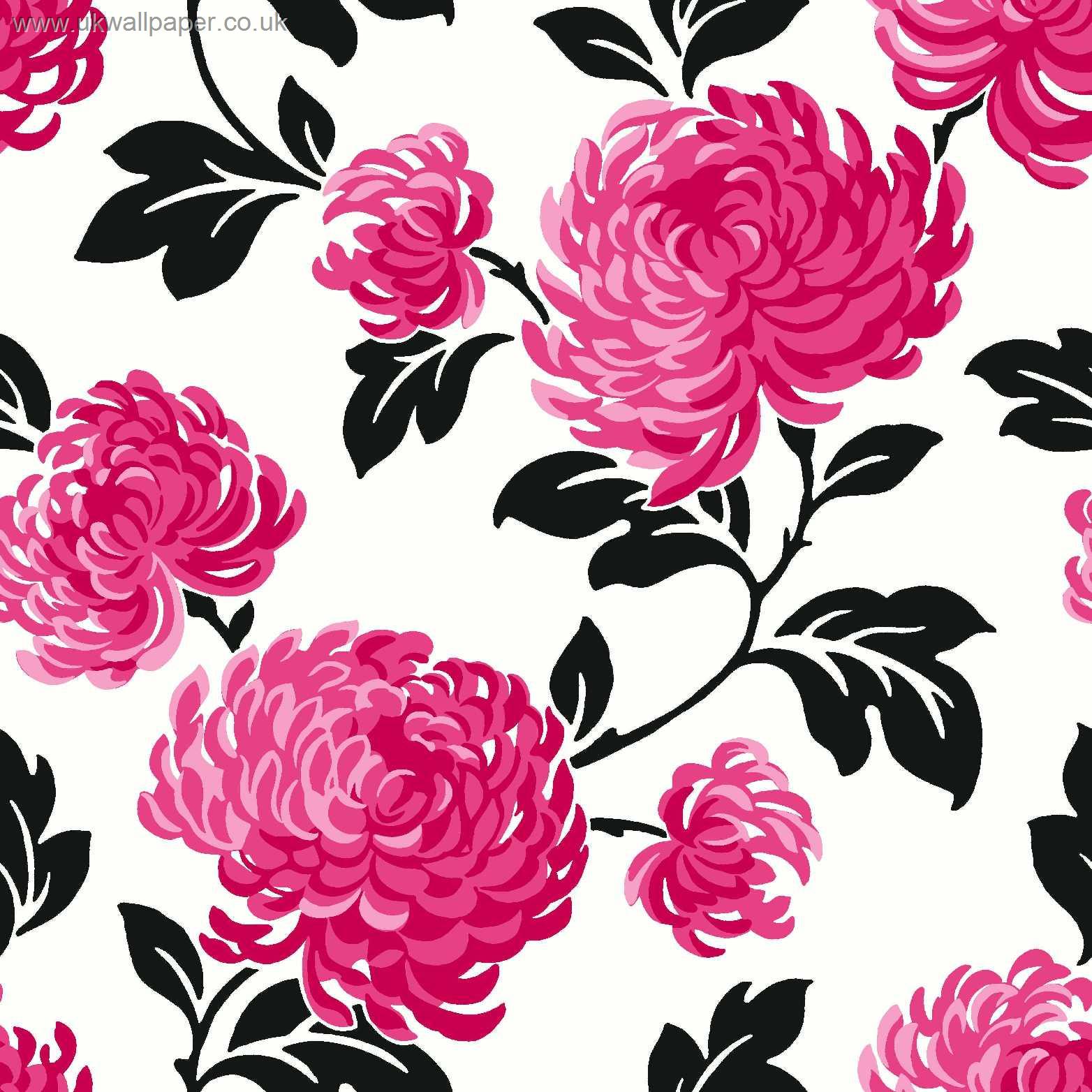 黒白とピンクの壁紙,パターン,ピンク,花,牡丹,工場