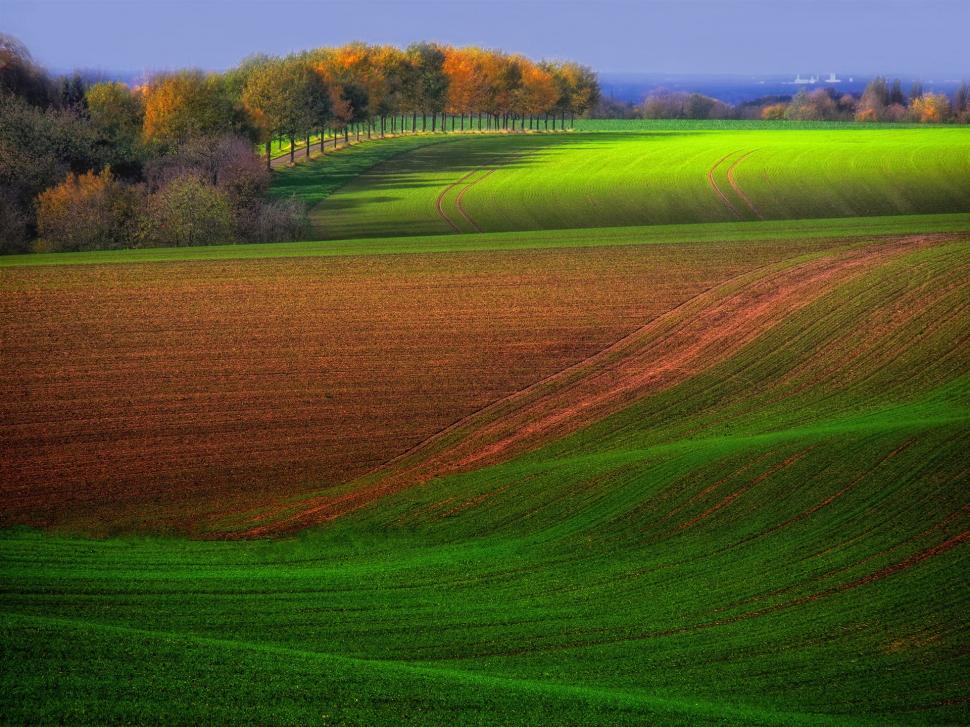 green brown wallpaper,green,natural landscape,grassland,field,nature