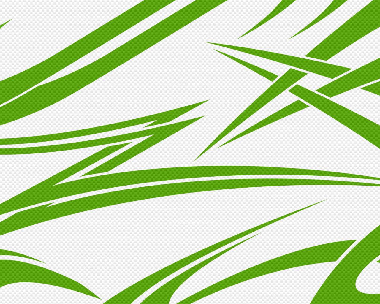 녹색 백색 벽지,초록,잎,선,무늬,식물