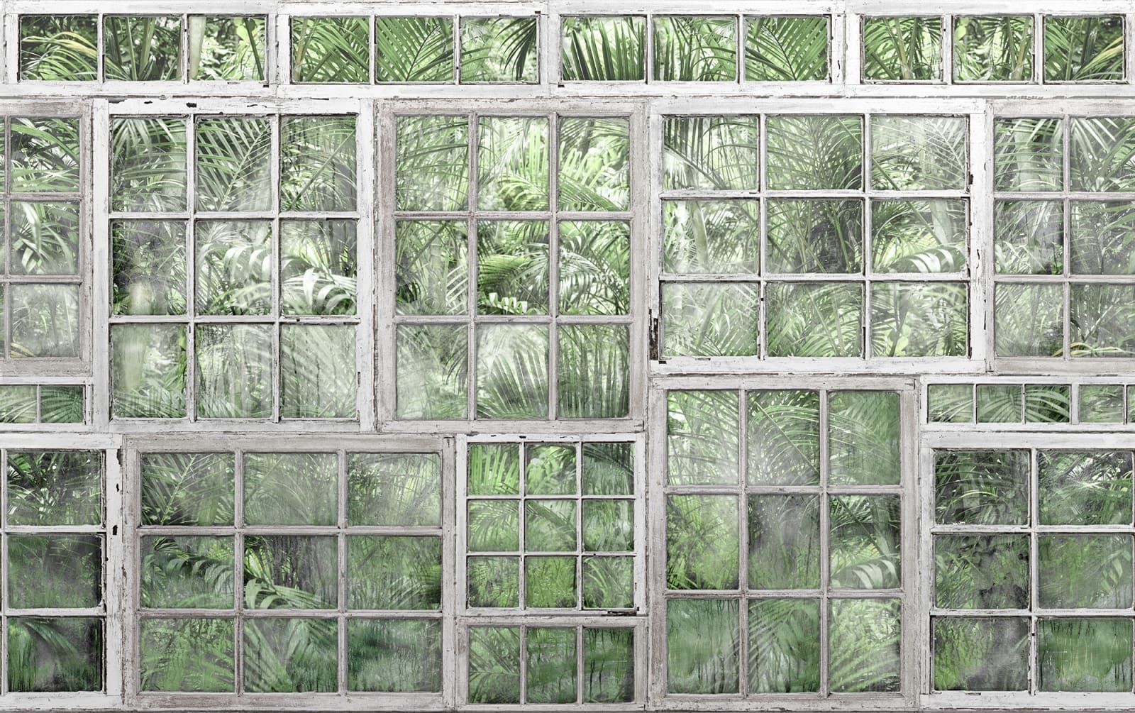 pared de papel tapiz verde,pared,ventana,vaso,planta,ventana de guillotina